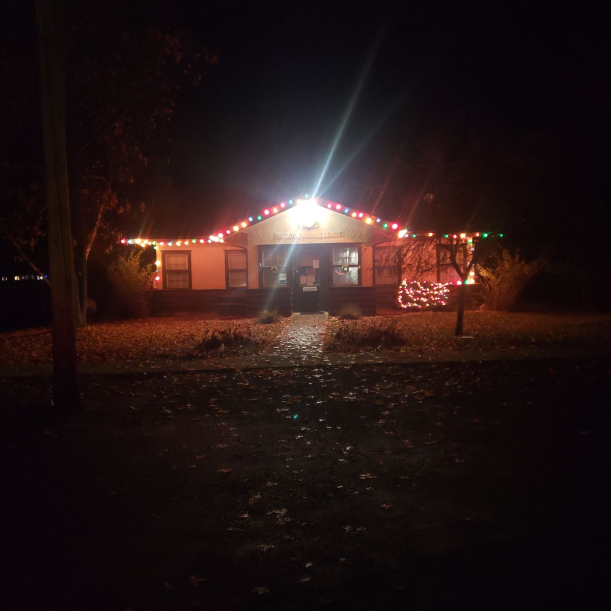 2024 Christmas Lights on Library